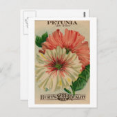 briefkaart petunia-zaadpakket (Voorkant / Achterkant)