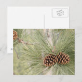 Briefkaart pijnkegelvormer (Voorkant / Achterkant)