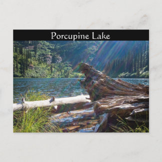 BRIEFKAART ~ "Porcupine Lake" bij Clark Fork, Idah