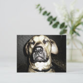 Briefkaart Presa Canario (Staand voorkant)