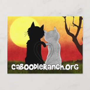 briefkaart "Purrfect"