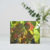 Briefkaart - Red Grape Leaf on Vine (Staand voorkant)