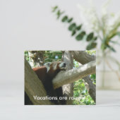 Briefkaart Red Panda (Staand voorkant)