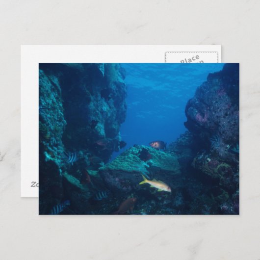 Briefkaart - Ref-scène in Moorea, Frans-Polynesië (Voorkant / Achterkant)