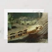 Briefkaart remmen (Voorkant / Achterkant)