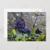 Briefkaart Rhode Island (Voorkant / Achterkant)