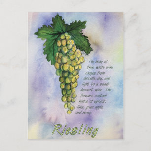 Briefkaart Riesling Wine Grapes