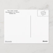 briefkaart "River Turtle" (Achterkant)