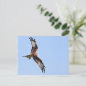 Briefkaart Rode kite (Staand voorkant)