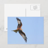 Briefkaart Rode kite (Voorkant / Achterkant)
