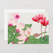 Briefkaart rode papaver (Voorkant / Achterkant)