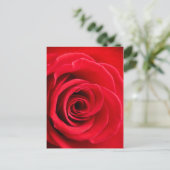 Briefkaart rode rozen (Staand voorkant)