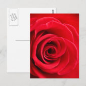 Briefkaart rode rozen (Voorkant / Achterkant)