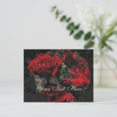 Briefkaart rode rozen (Staand voorkant)