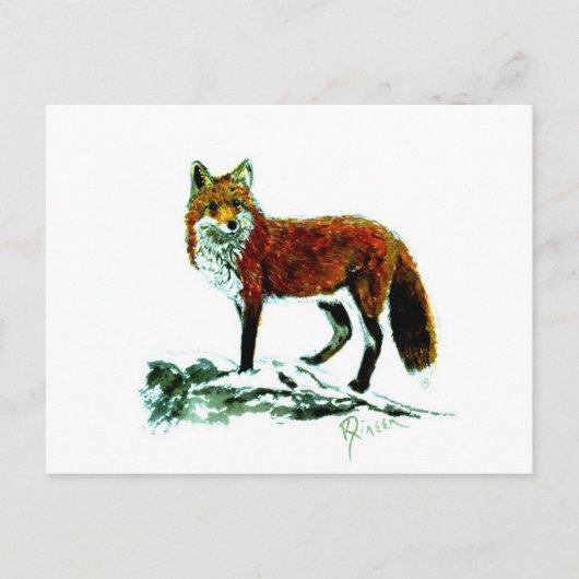 Briefkaart rode vos (Voorkant)