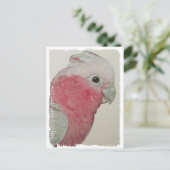 Briefkaart - Roos - GeBreste kaketoes (Staand voorkant)