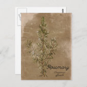  Briefkaart Rosemary Herb (Voorkant / Achterkant)
