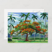 Briefkaart Royal Poinciana (Voorkant / Achterkant)