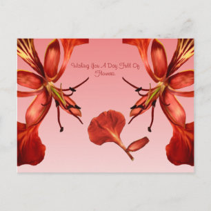 Briefkaart Royal Poinciana