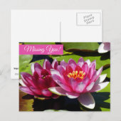 Briefkaart Roze waterlelies (Voorkant / Achterkant)