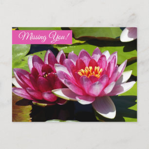 Briefkaart Roze waterlelies