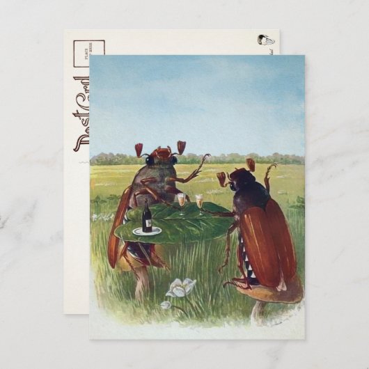 Briefkaart  ruggengraat (Voorkant / Achterkant)