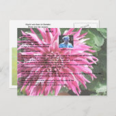 Briefkaart Rusks Recipe (Voorkant / Achterkant)