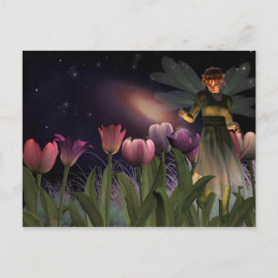 Briefkaart 's nachts