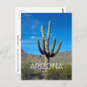 Briefkaart Saguaro Cactus (Voorkant / Achterkant)