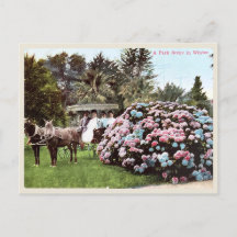 Briefkaart San Diego, Victoriaans tijdperk