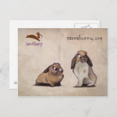 Briefkaart SaveABunny (Voorkant / Achterkant)