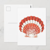 briefkaart "SCALLOP" SEASHELL SEALIFE (Voorkant / Achterkant)