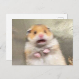 Briefkaart Scared Hamster Meme