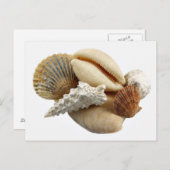 Briefkaart schalen (Voorkant / Achterkant)