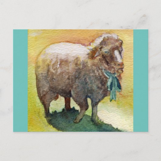 Briefkaart schapen (Voorkant)