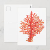 briefkaart "SEACORAL" (Voorkant / Achterkant)