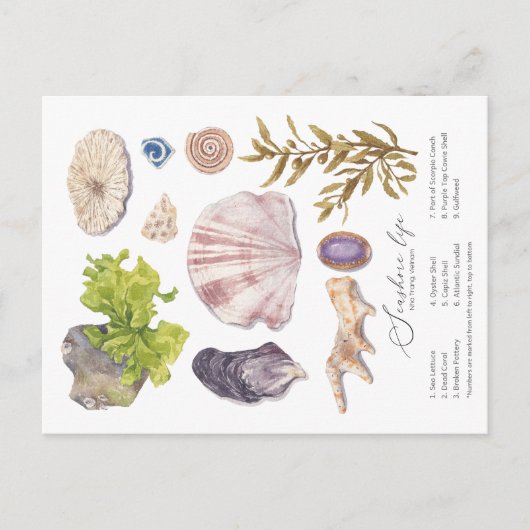 Briefkaart Seashore (Voorkant)