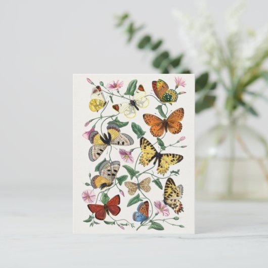 Briefkaart sectie illustratie (Staand voorkant)