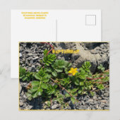 Briefkaart SEPTEMBER (Voorkant / Achterkant)