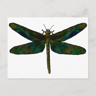 Briefkaart September Wing