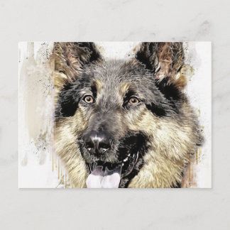 Briefkaart Shepherd Dog