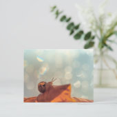 Briefkaart slak (Staand voorkant)