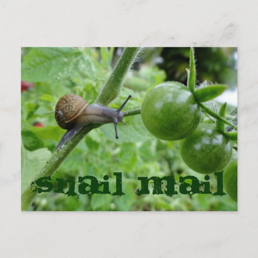 Briefkaart slak-mail (Voorkant)