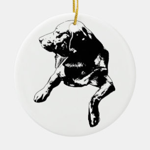 Briefkaart-sleuf Hallo, Lab Aandenken Keramisch Ornament