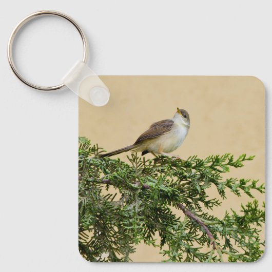 Briefkaart Sleutelhanger (Voorkant)