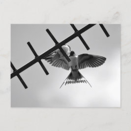 Briefkaart slikken en slepen