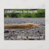 Briefkaart Slug Life (Voorkant)