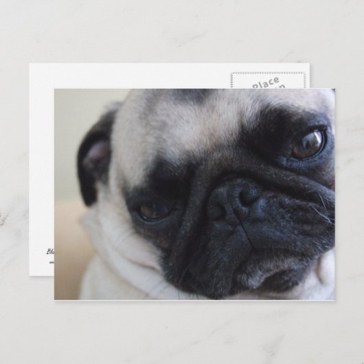 Briefkaart Sluiten (Voorkant / Achterkant)