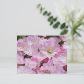 Briefkaart - Sluiting van Primrose (Staand voorkant)