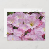 Briefkaart - Sluiting van Primrose (Voorkant / Achterkant)